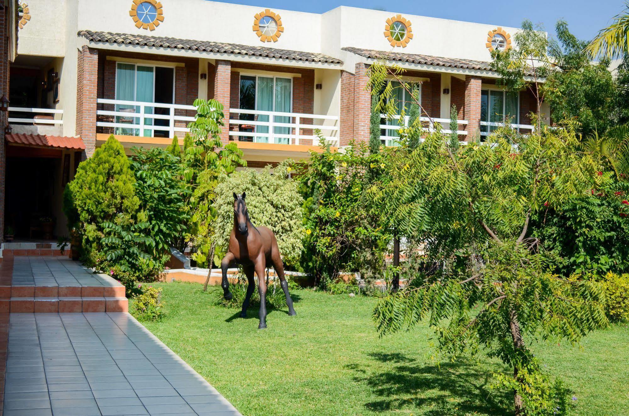 Quinta La Estampida Hotel Xochitepec Ngoại thất bức ảnh